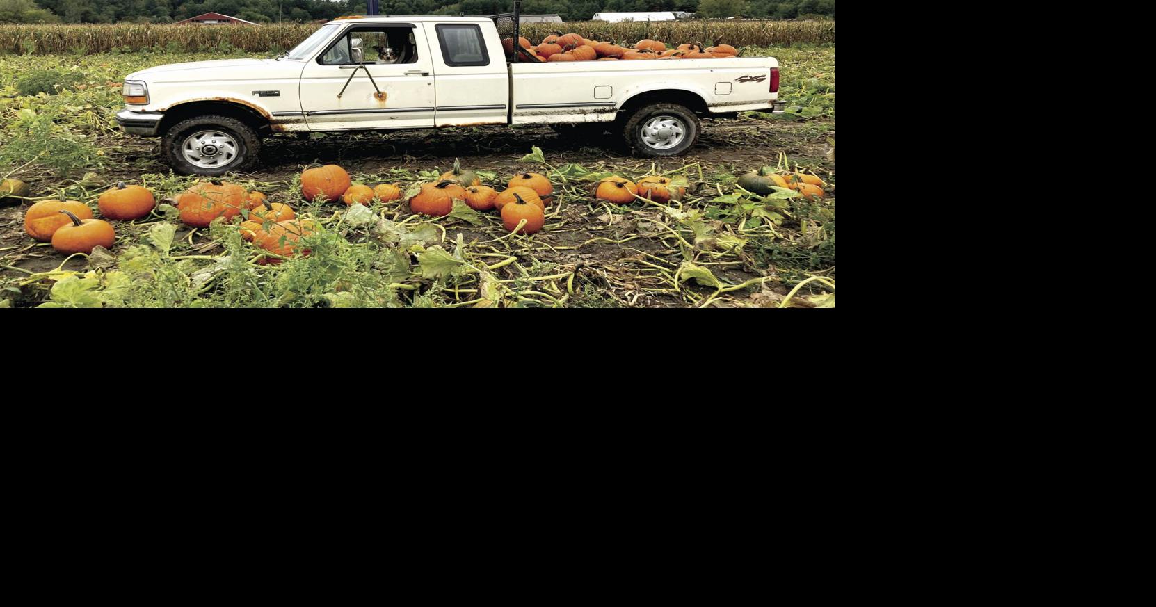 Photo Gallery Bounty and beauty at Williston Farms Community