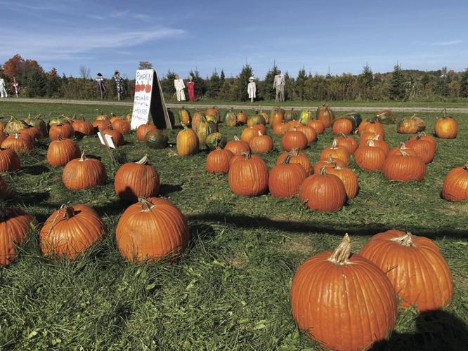 Photo Gallery Bounty and beauty at Williston Farms Community