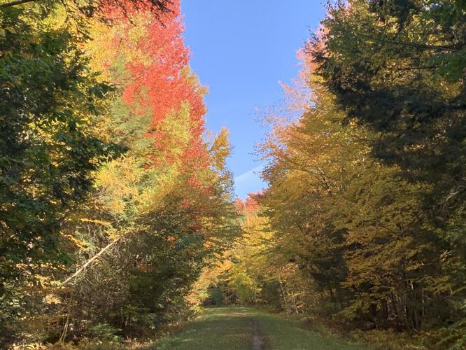 Photo Gallery Community cameras capture colors of fall Community