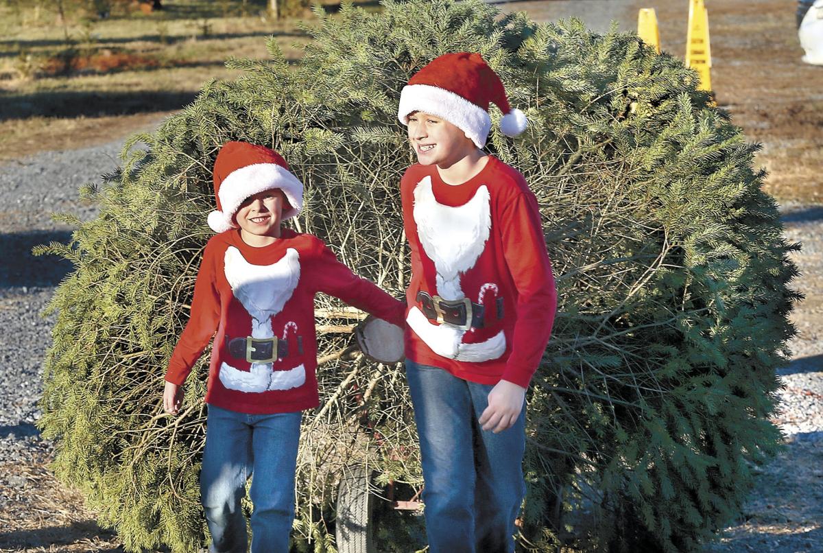 O Christmas Tree Features Winchesterstar Com
