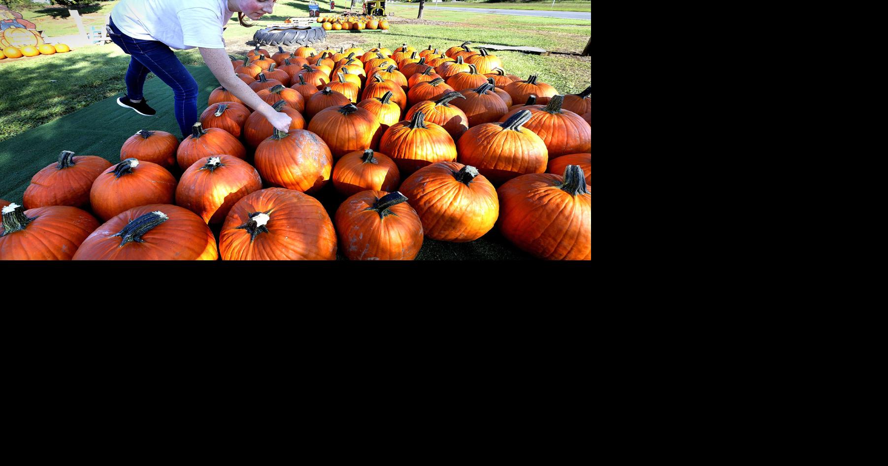 Looking like fall Winchester Star