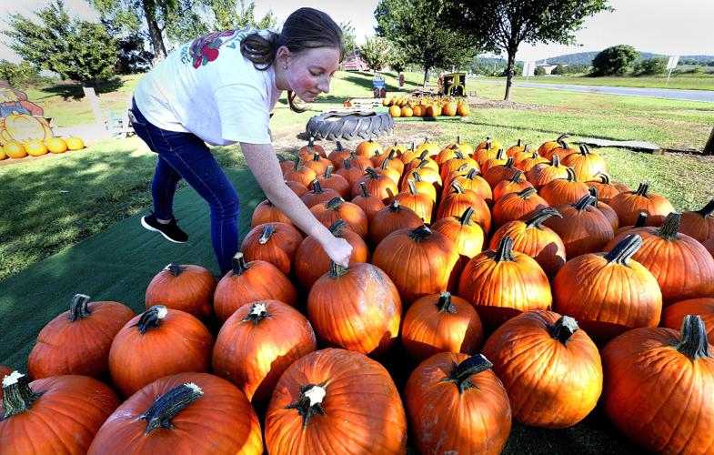Looking like fall Winchester Star