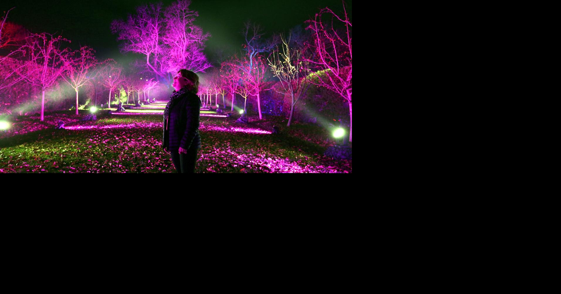 'Garden Lights' exhibit returning to the MSV in November Winchester