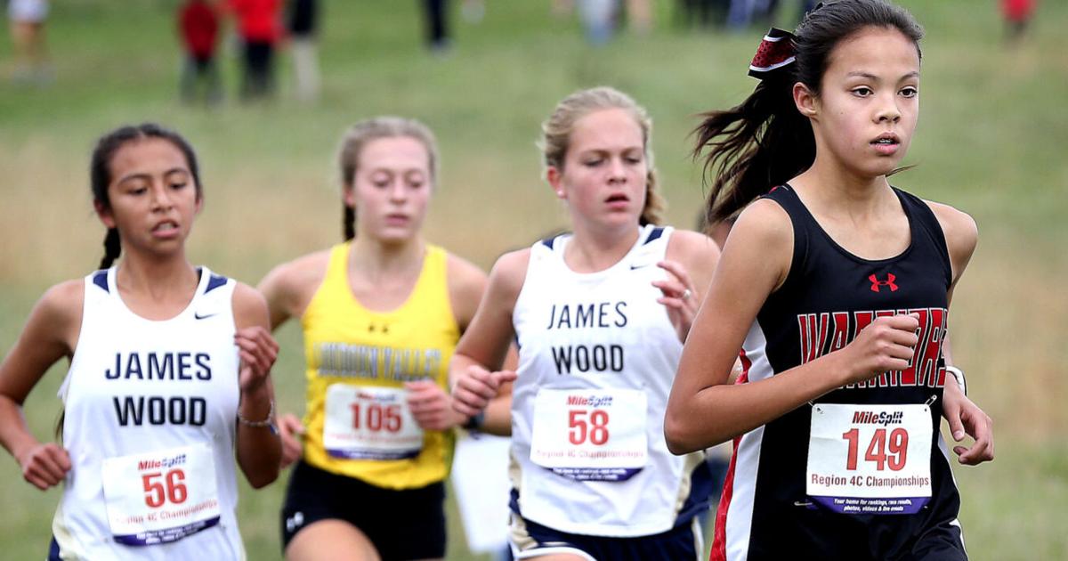 VHSL notebook Cross country coaches pleased by statequalifying