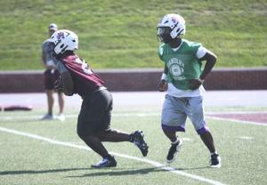 Handley's Darling looking for big year after missing 2025 season