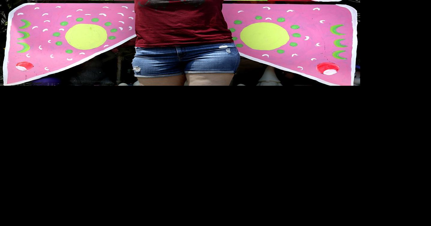 Spreading her wings Winchester Star