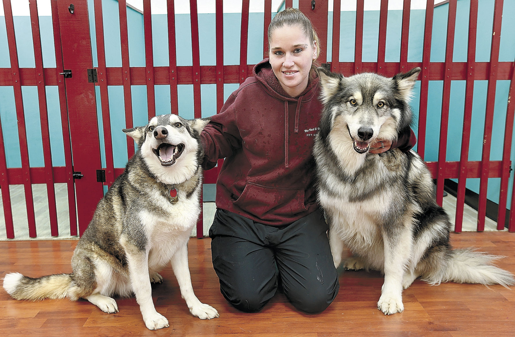 Fast and sales furriest dog groomer