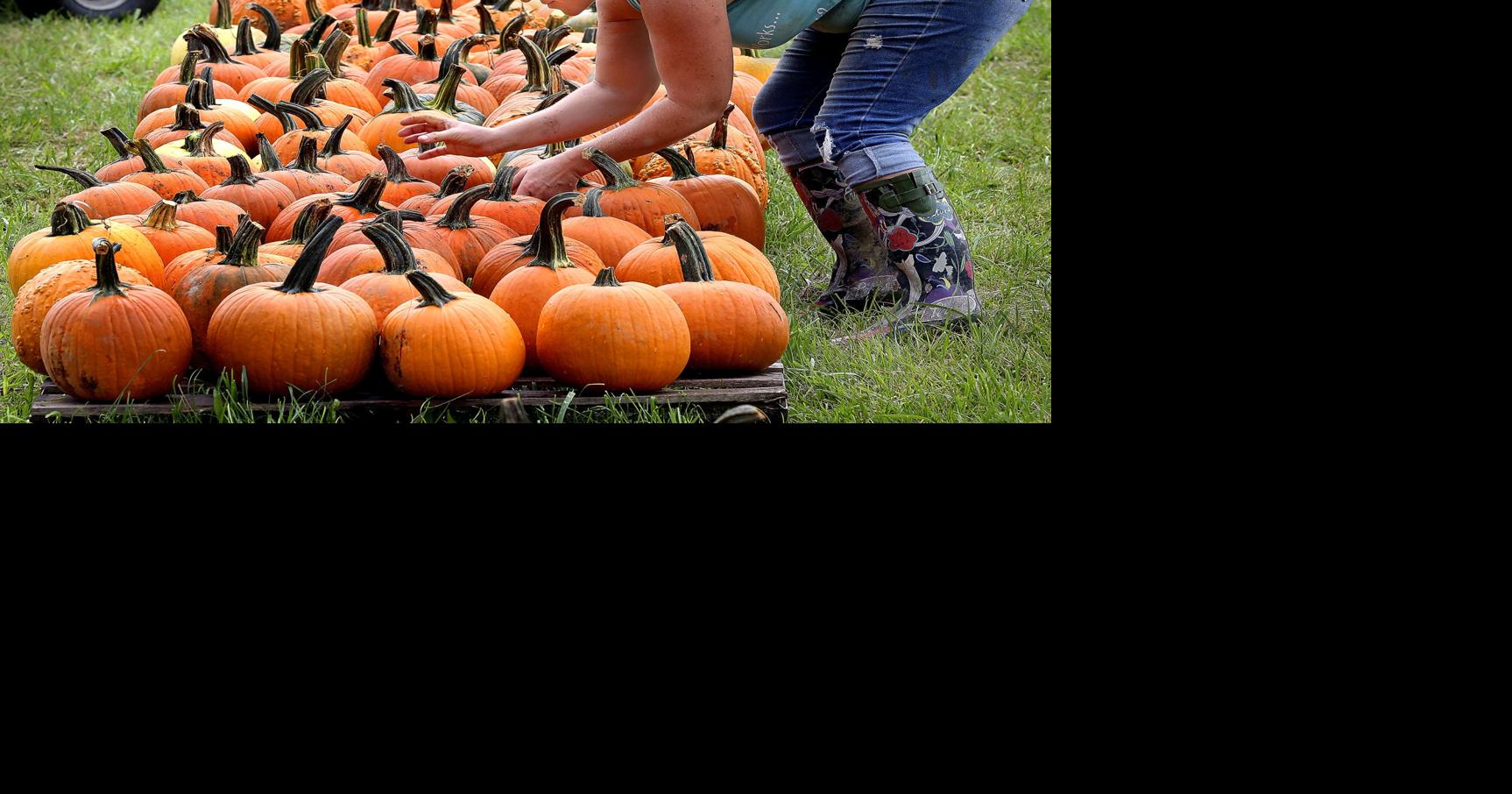 Bumper crop of fall fun in the region Winchester Star