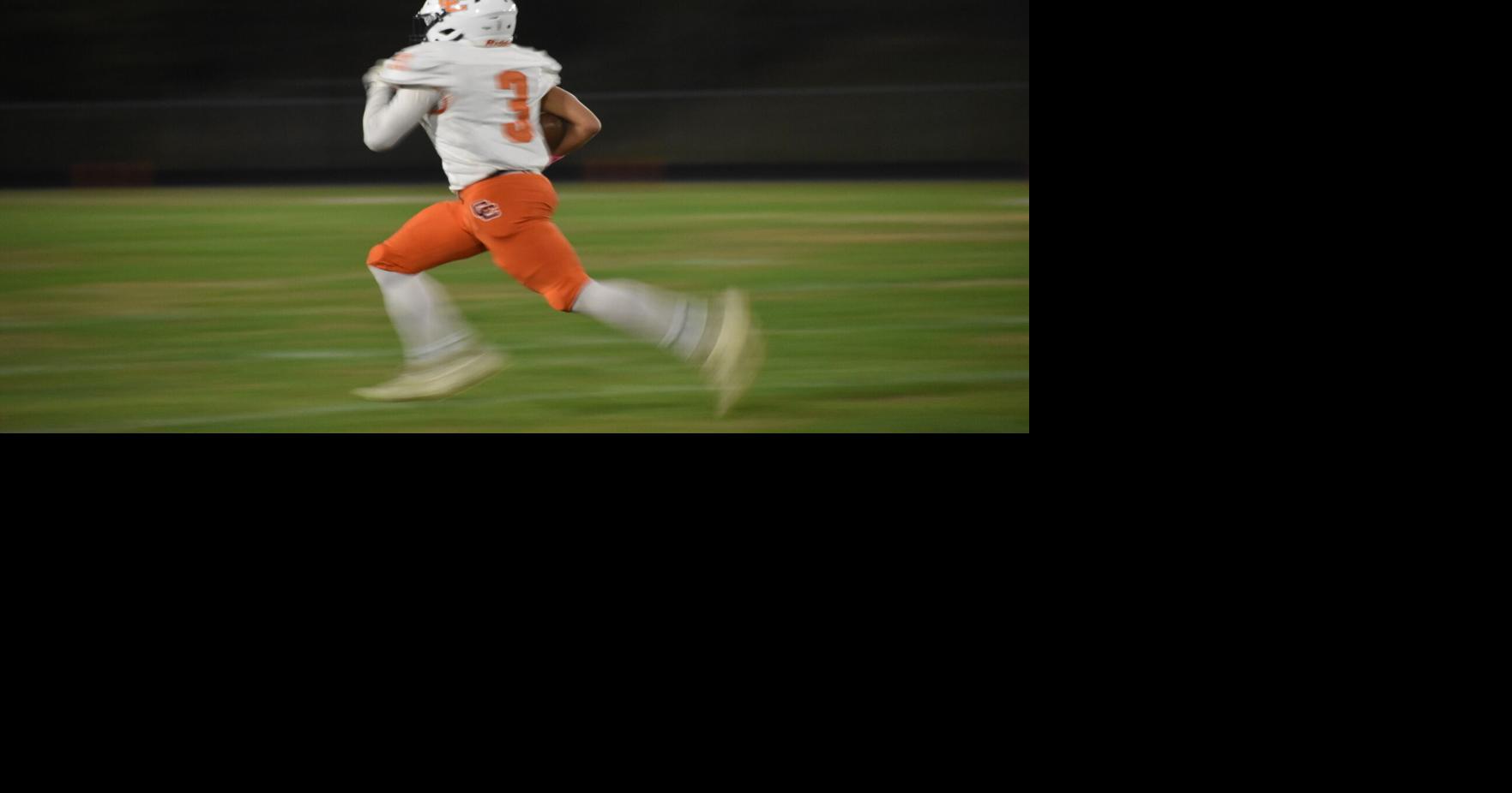 Clarke's solid offense not enough in loss to Luray | Winchester Star ...