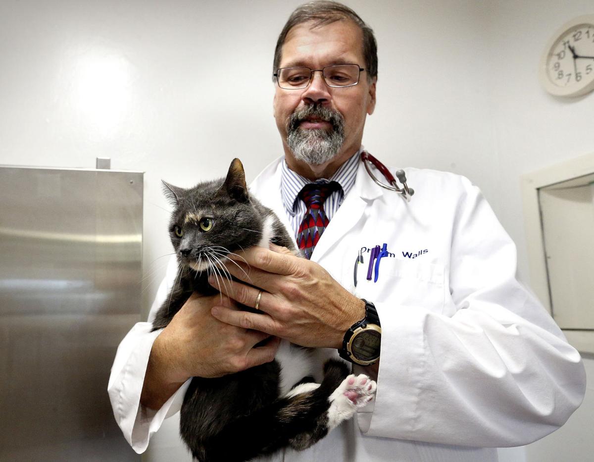 Vet, practice manager celebrate 30year partnership Winchester Star