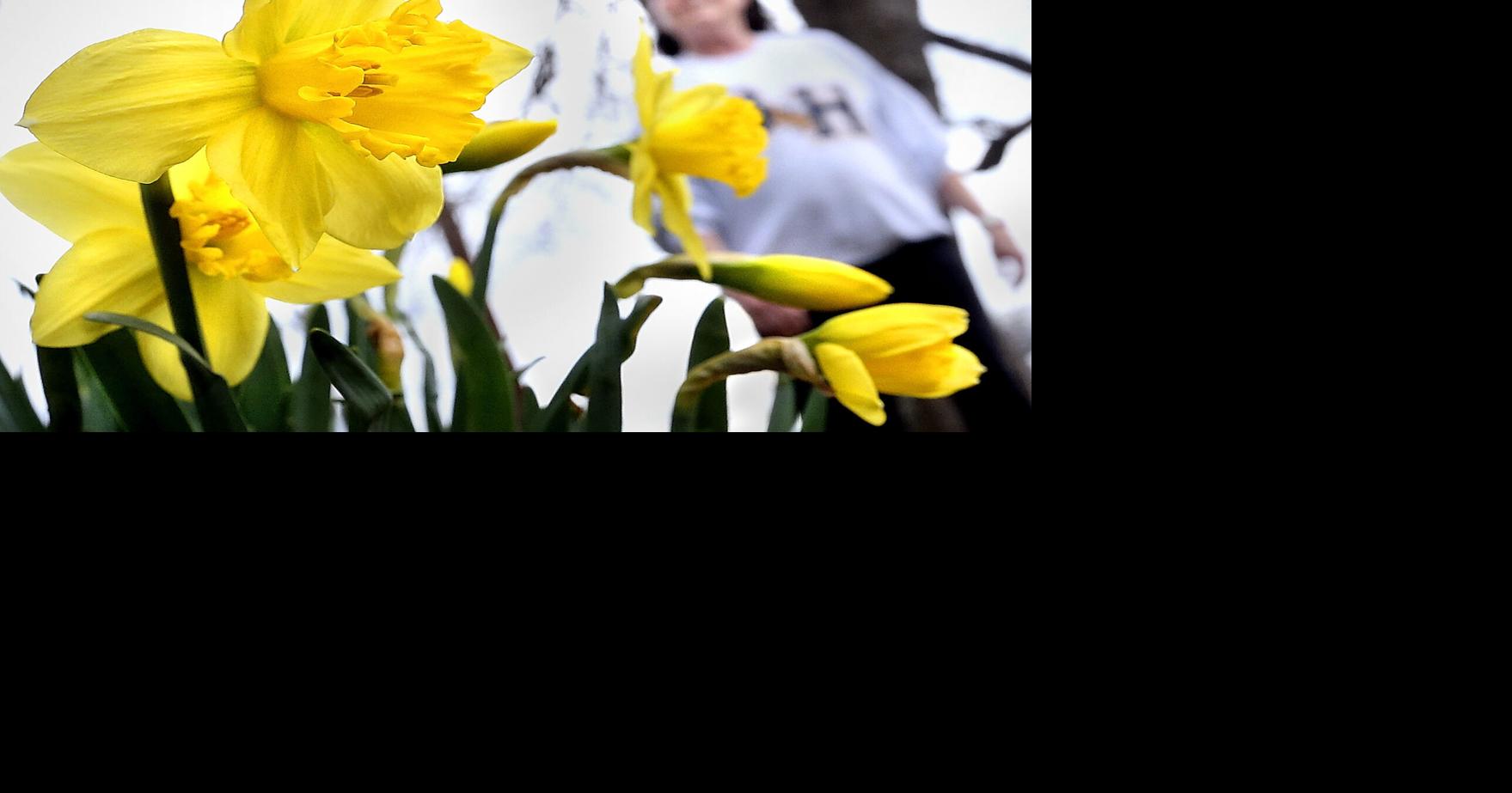 Signs of spring | Winchester Star | winchesterstar.com