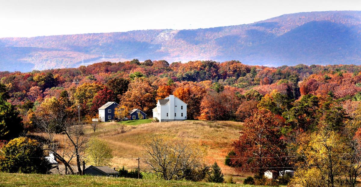 Fall foliage livens up landscape  Winchester Star  winchesterstar.com