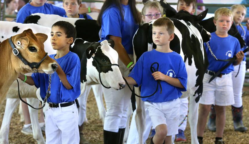 Dairy on display Winchester Star