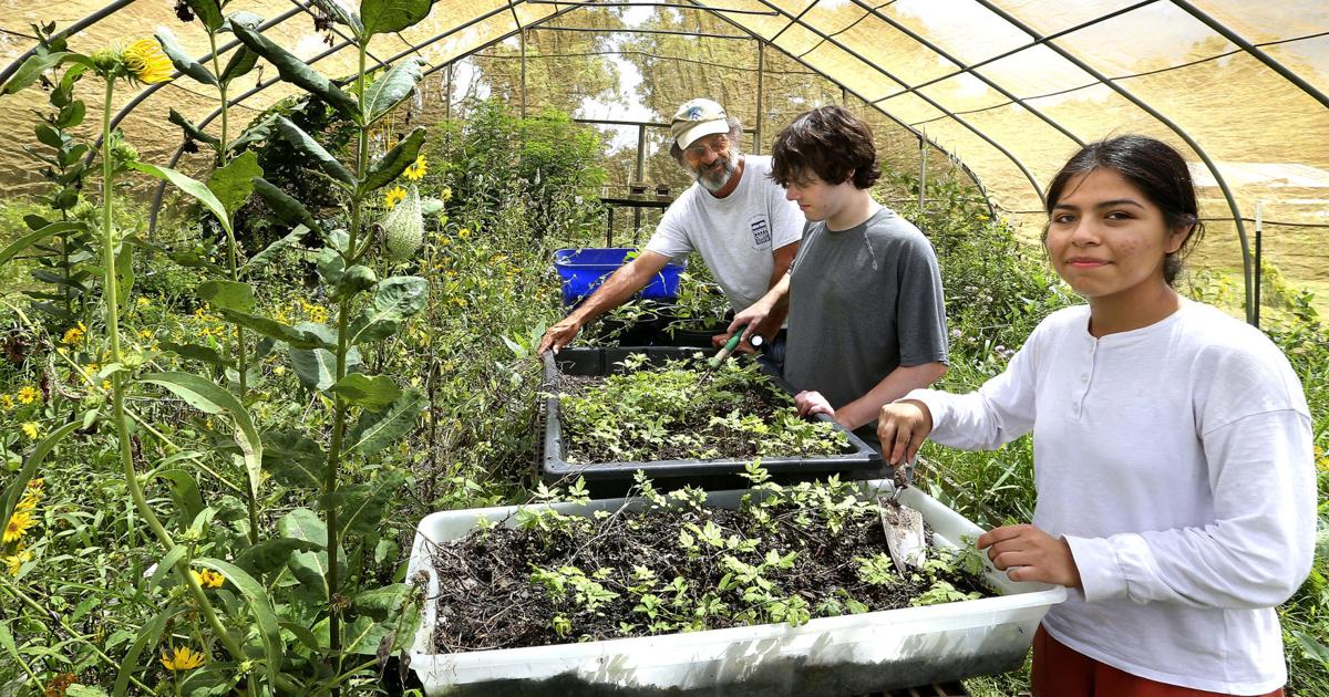 Blandy Sommerpraktika helfen Studenten bei der Vorbereitung auf wissenschaftliche Karrieren – The Winchester Star Blandy Sommerpraktika helfen Studenten bei der Vorbereitung auf wissenschaftliche Karrieren – The Winchester Star