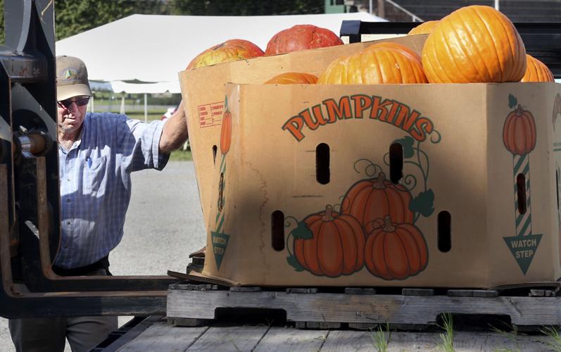 Getting ready for Lucketts Fall Market Eedition