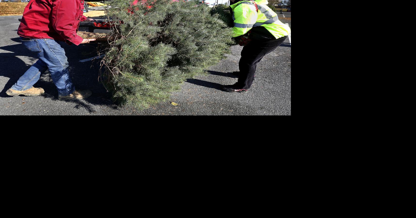 Christmas tree teamwork