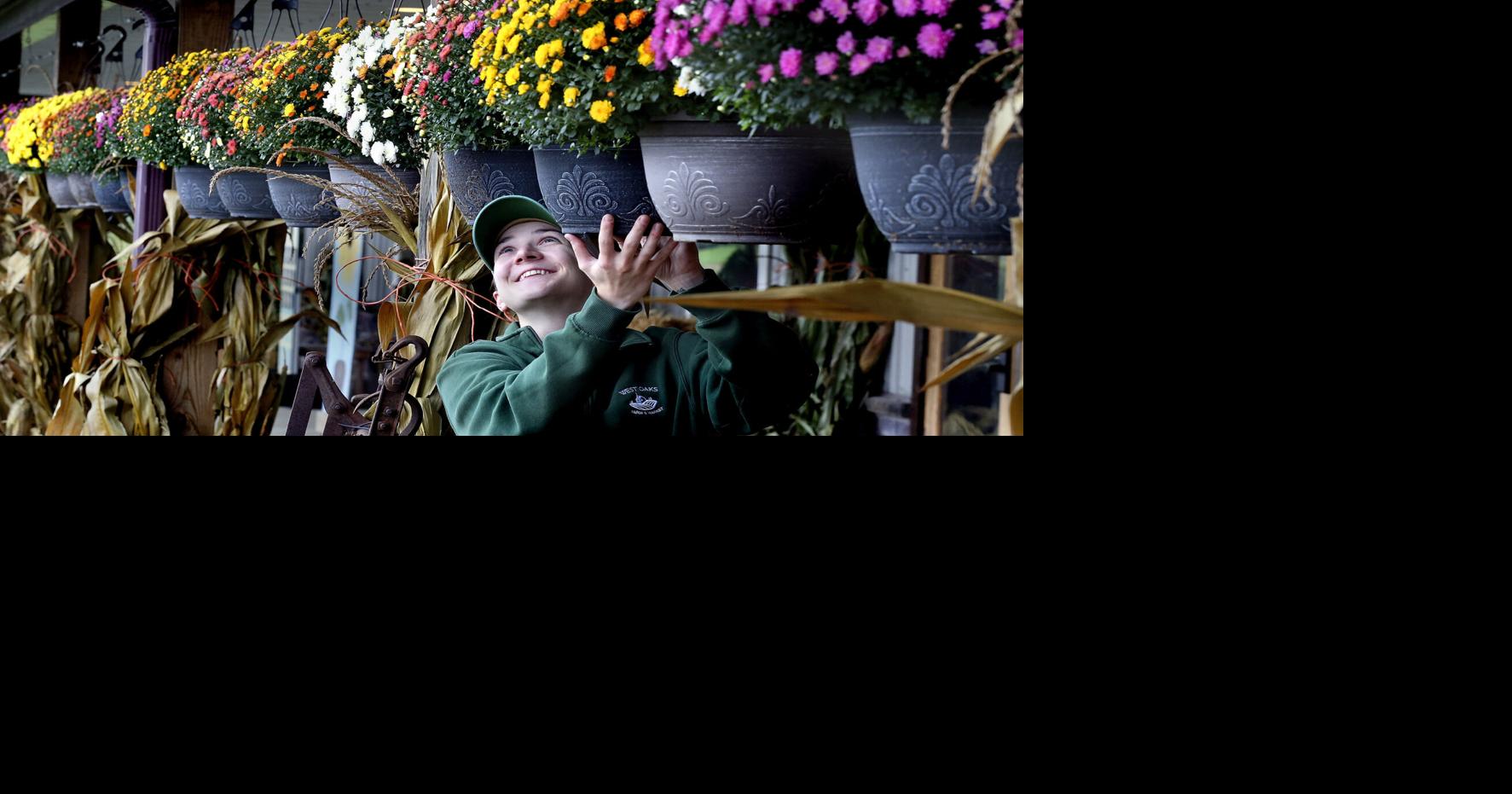 Fall arrives at farm market Winchester Star