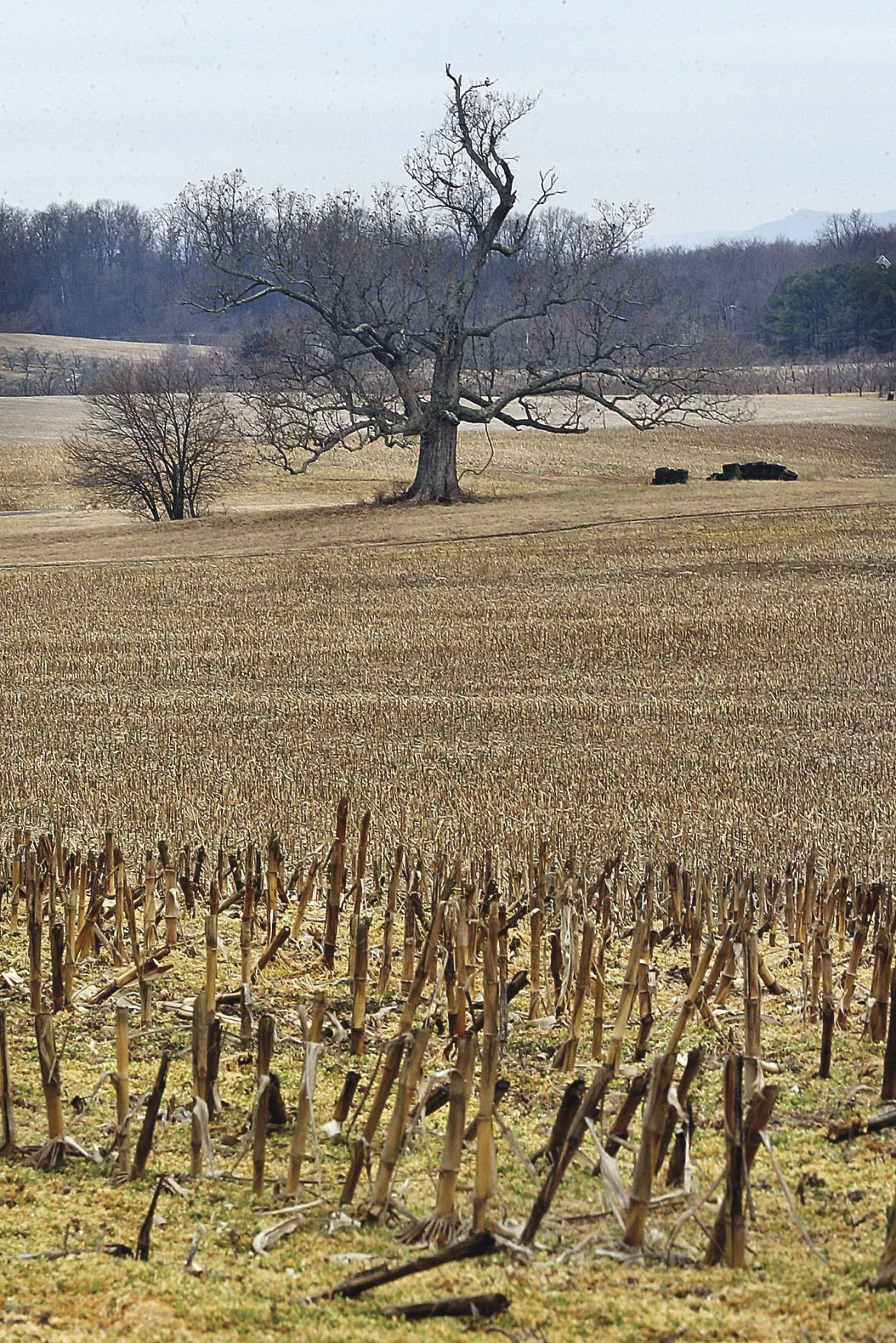 dry-winter-puts-area-on-alert-for-severe-drought-business