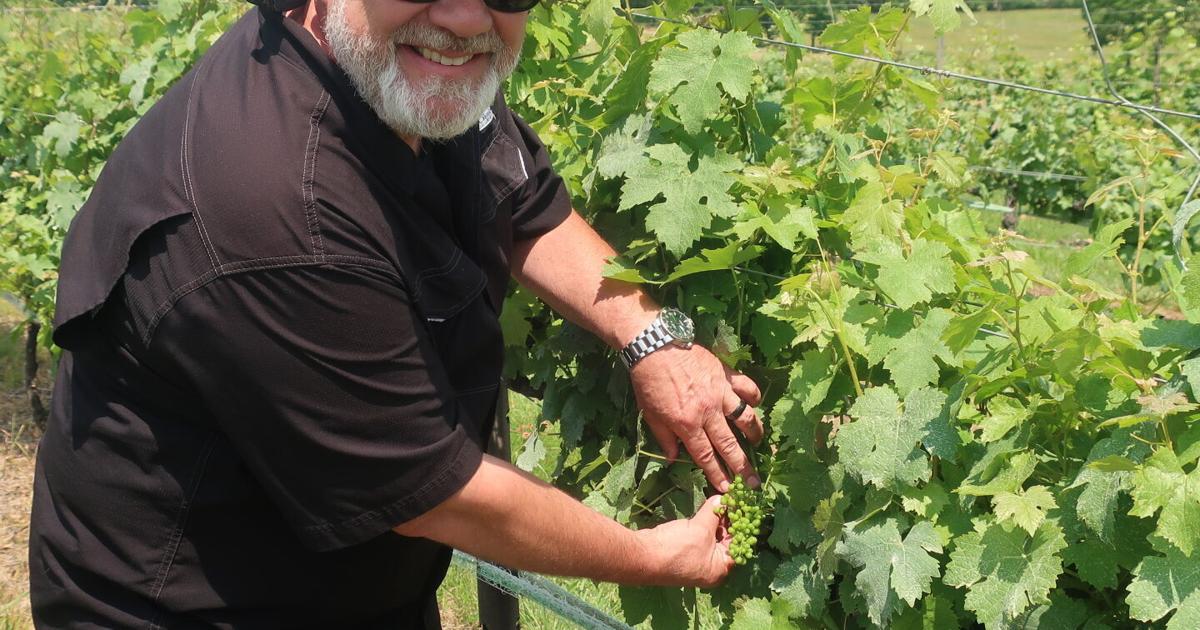 Clarke County winemaker receives prestigious recognition