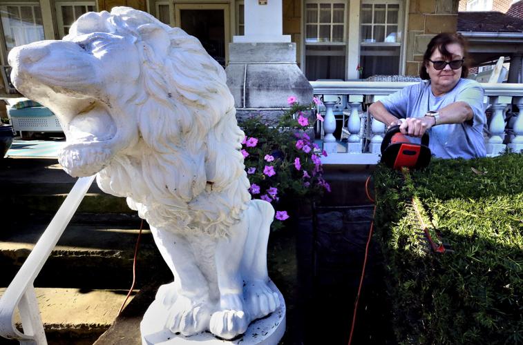 Just a trim (no lion)