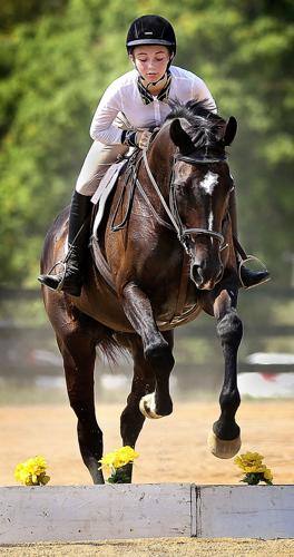 Rewarding Horses 4-H participants: Caring for horses rewarding yet challenging ...