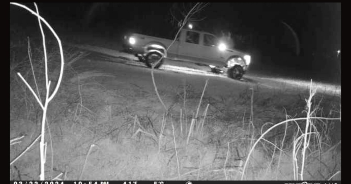 Police seek driver of truck with 'custom rims' after alleged 'donut ...