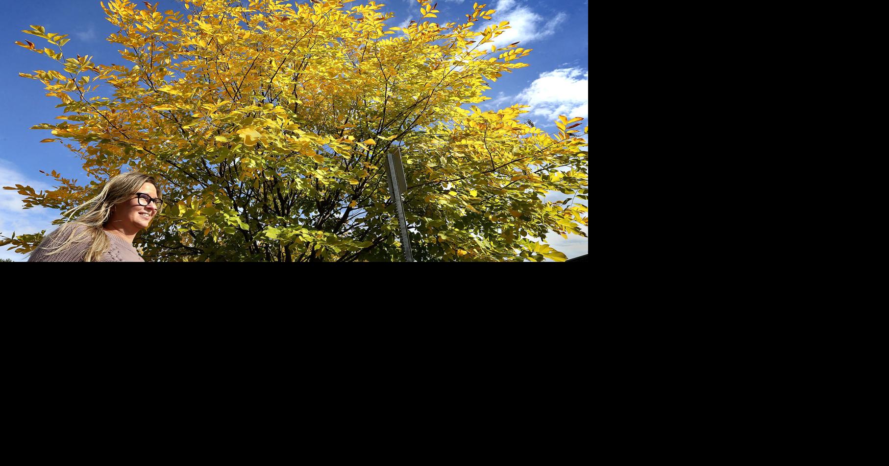 Fall turning on its charm Winchester Star