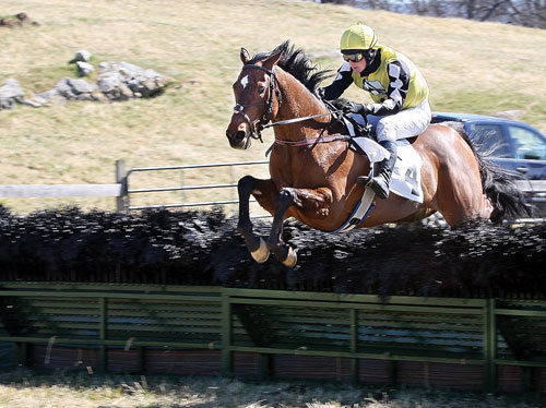 Blue Ridge Races offer chance to prep horses | News | winchesterstar.com