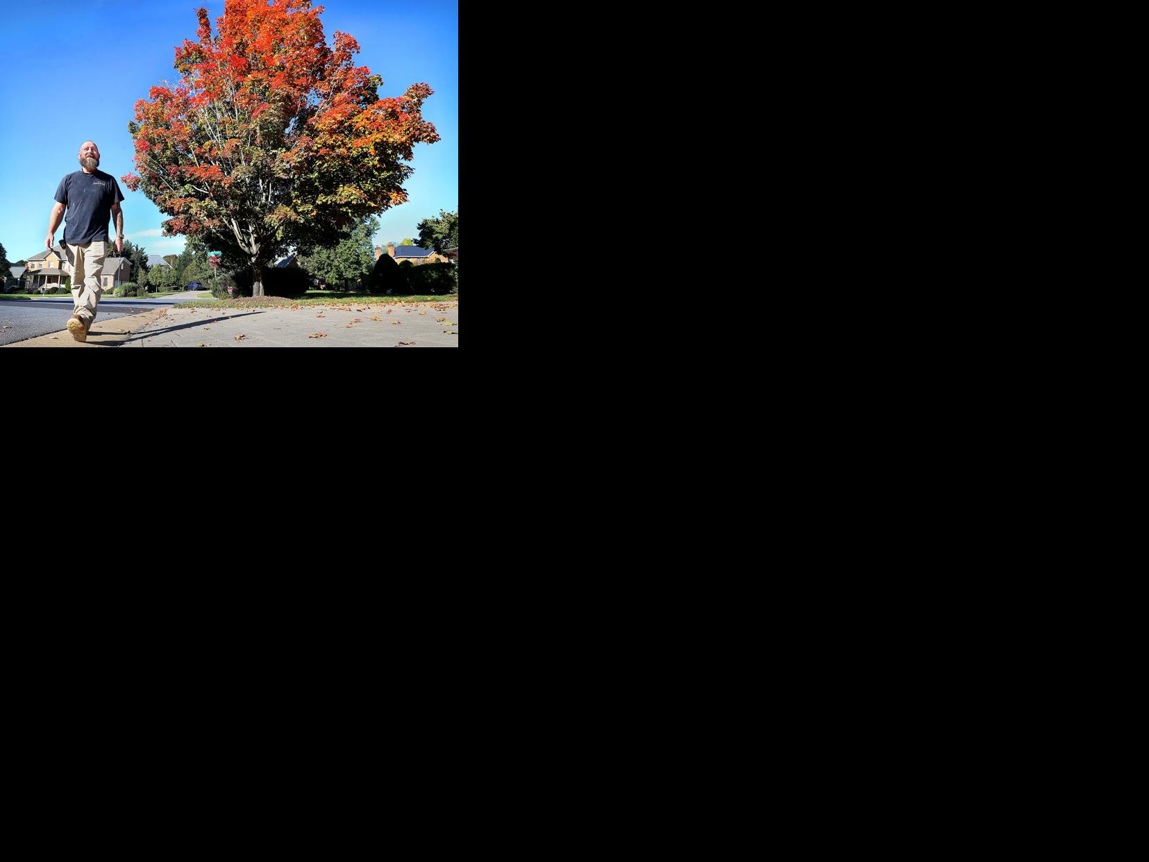 Falling for autumn
