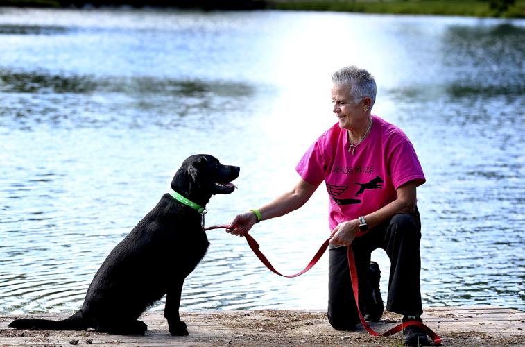 Dog dock diving A perfect sport for an amazing duo Winchester Star