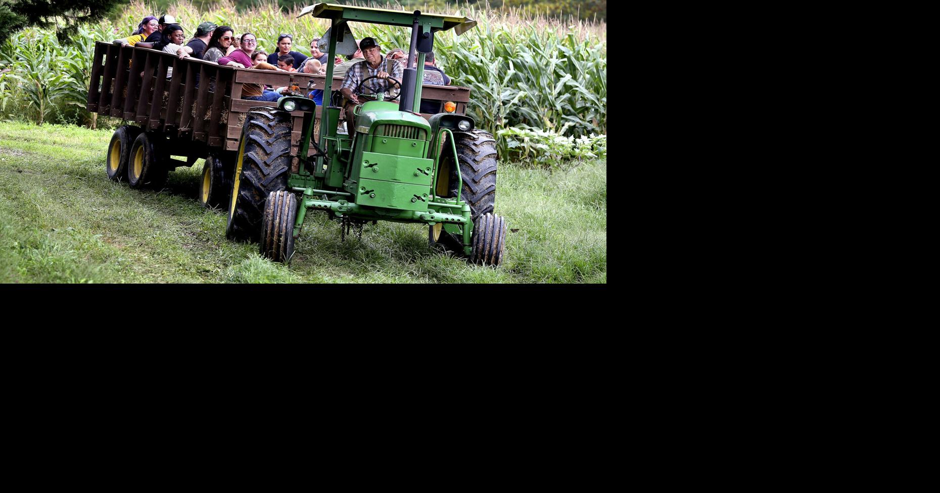 Wayside Farm Fun Winchester Star