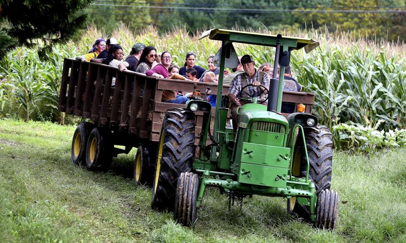 Wayside Farm Fun