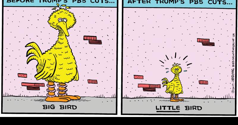 Big Bird? | Cartoons | winchesterstar.com