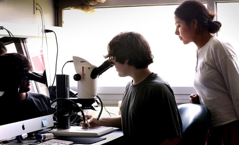 Blandy summer internships help students prepare for science careers