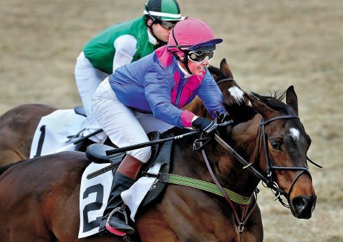 Blue Ridge Hunt point-to-point races bring out riders, watchers | News ...