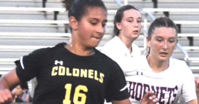 Hackman's overtime goal sends Wood girls back to state tourney - Vimarsana News