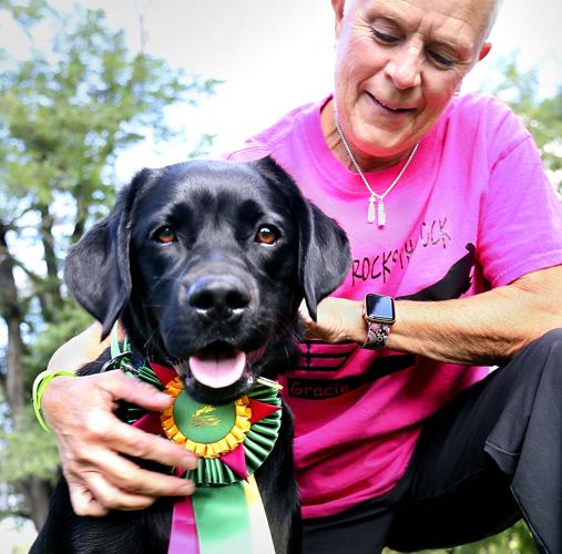 Dog dock diving A perfect sport for an amazing duo Winchester Star