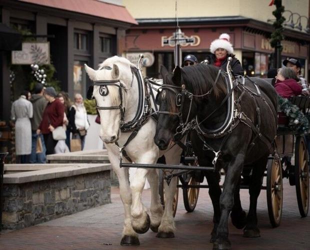 Magical experience awaits shoppers at Winchester Old Town Winter