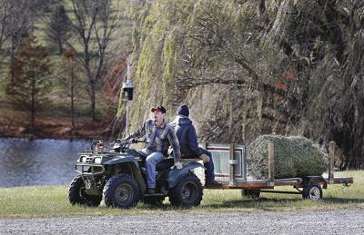 Farmers Have Abundance Of Trees For Holiday Season News Winchesterstar Com