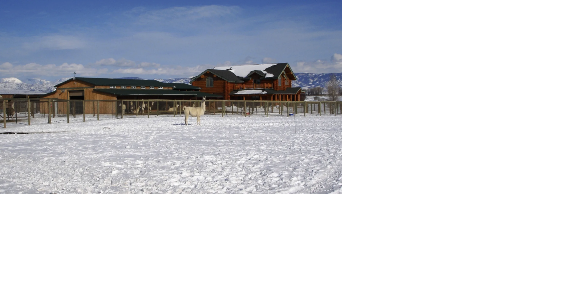 Wyoming ranch donated to nonprofit that helps people overcome trauma