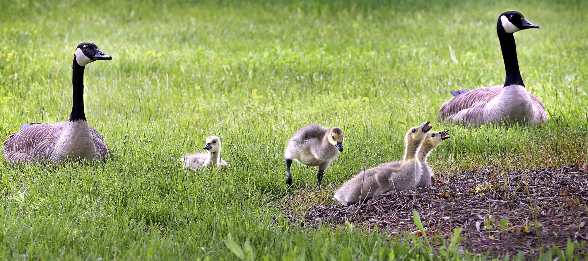 Family time Winchester Star