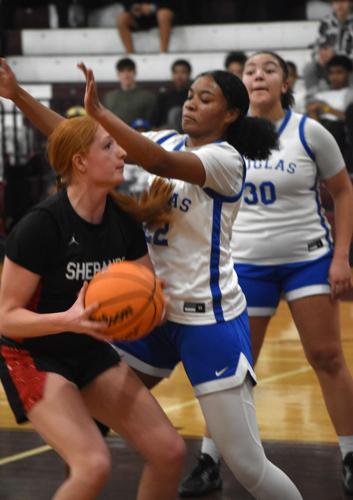 Sherandy Fast start propels Sherando girls past Handley | Winchester Star ...