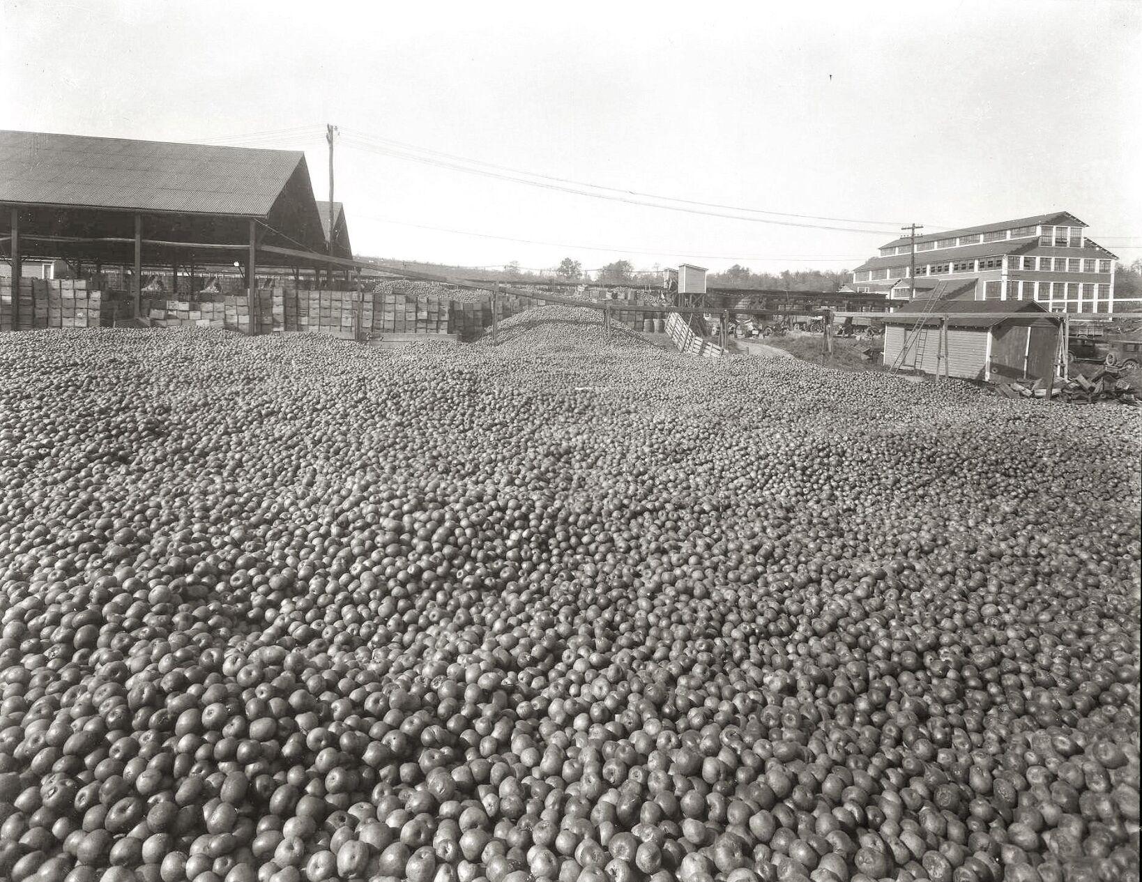 Out of the Past from the archives of The Winchester Star