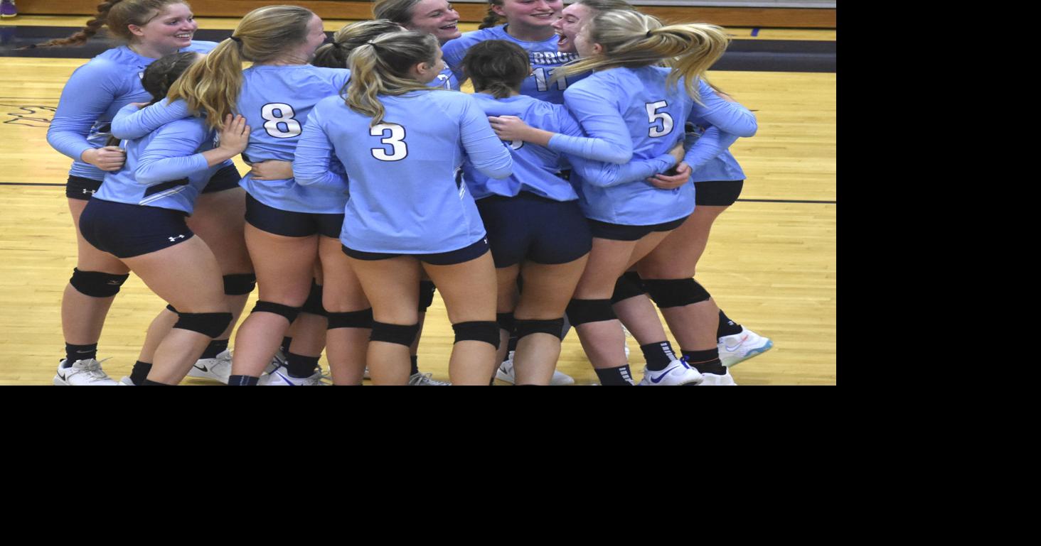 Millbrook volleyball sweeps Wood for district tourney title