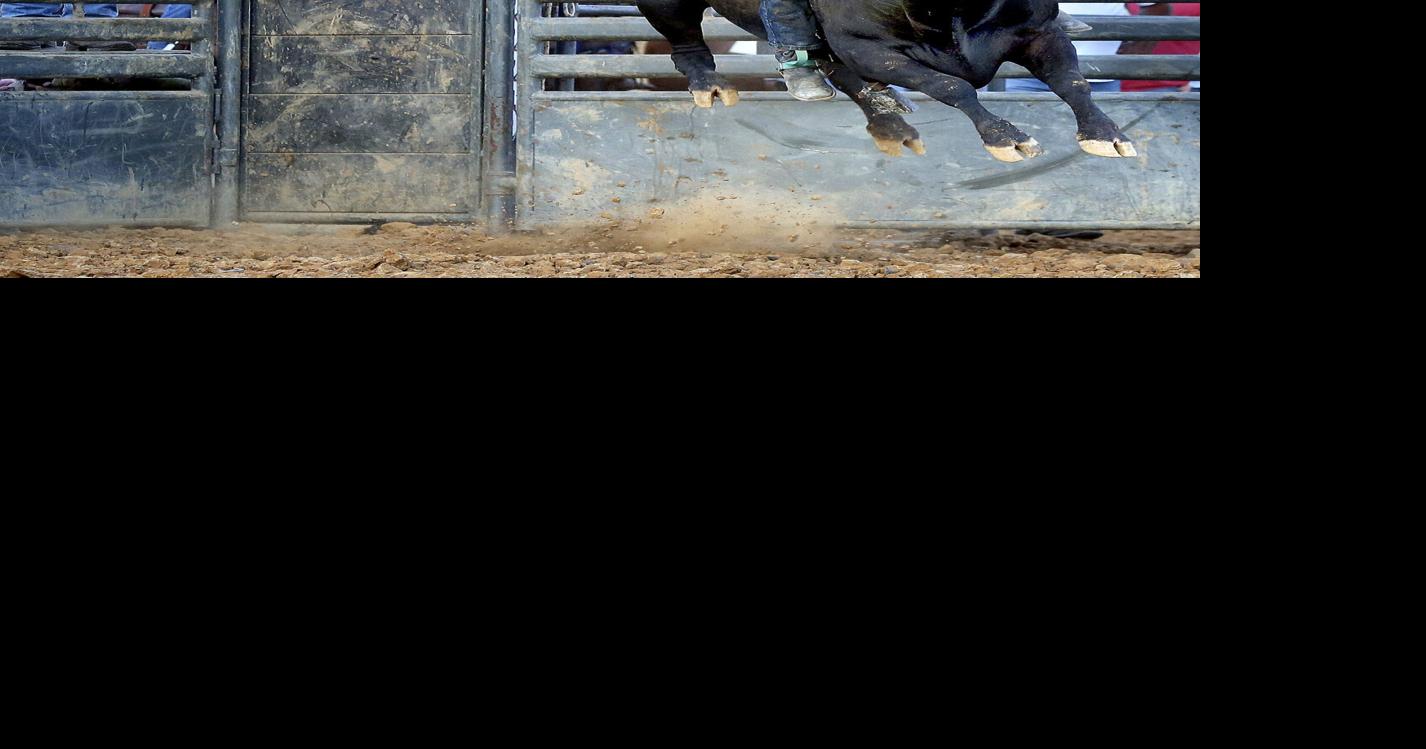 Rodeo fans take a wild ride at the Frederick County Fair | Winchester ...
