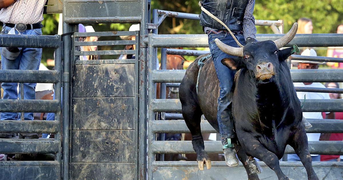 Frederick Rodeo Rodeo fans take a wild ride at the Frederick County Fair | Winchester ...