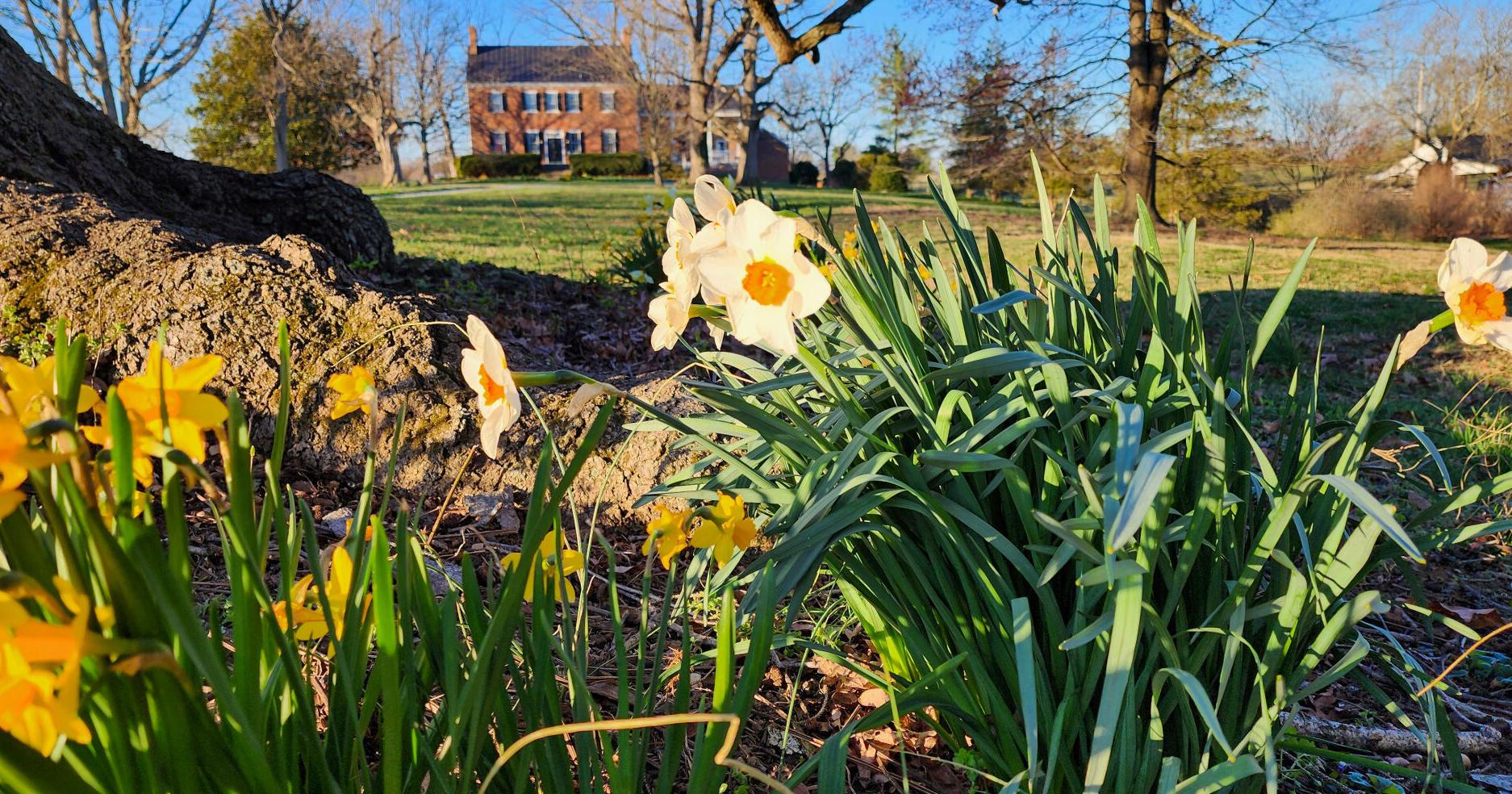 Lucky Hit, another Clarke County historic home, goes on the auction block - Vimarsana News