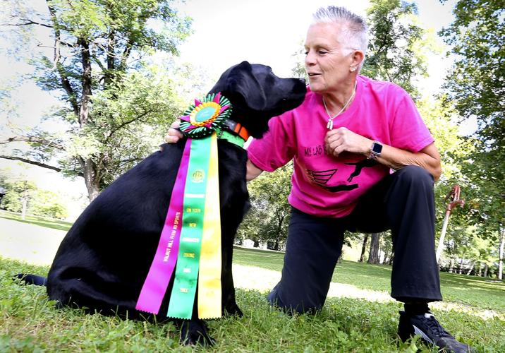 Dog dock diving A perfect sport for an amazing duo Winchester Star