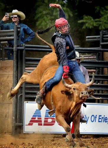 Bull Mania Rodeo 'Man versus beast': Bullride Mania bucks its way through the Frederick ...
