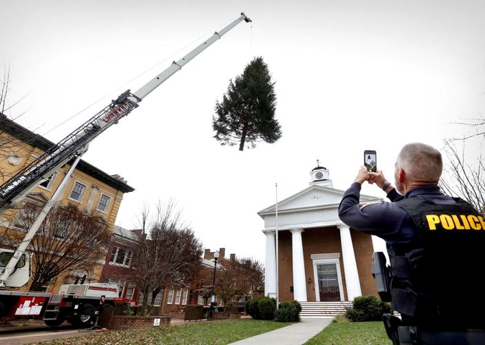 An evergreen, with a story of its own, arrives in Old Town Winchester